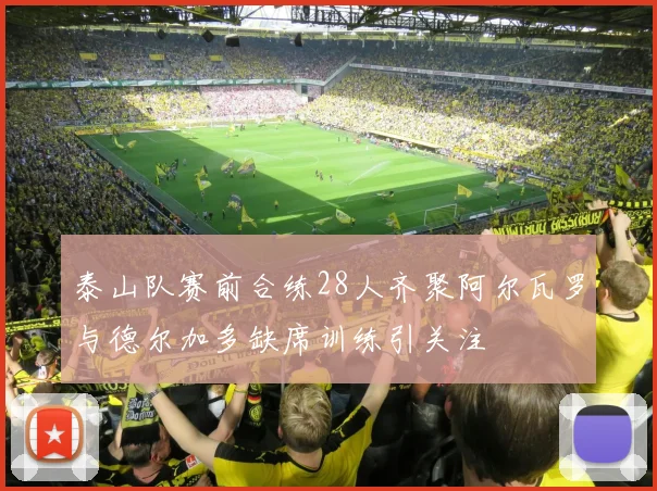 泰山队赛前合练28人齐聚阿尔瓦罗与德尔加多缺席训练引关注