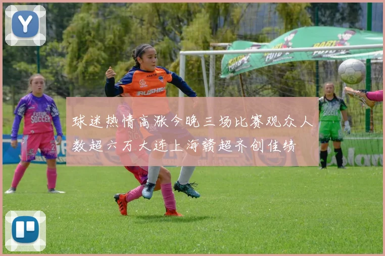 球迷热情高涨今晚三场比赛观众人数超六万大连上海赣超齐创佳绩